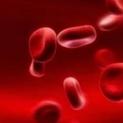 L'importance du don de sang pour les drépanocytaires