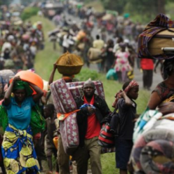 JDA - Des décennies de crimes à l'Est de la RDC