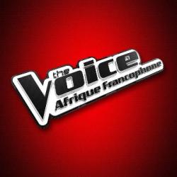 La discothèque de Manu - The Voice Afrique