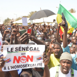 JDA - L'homosexualité en débat au Sénégal 